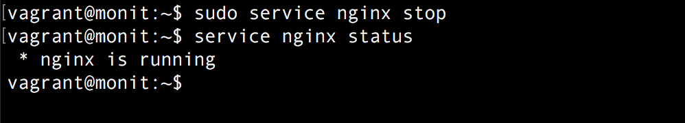 Auto restart from Nginx