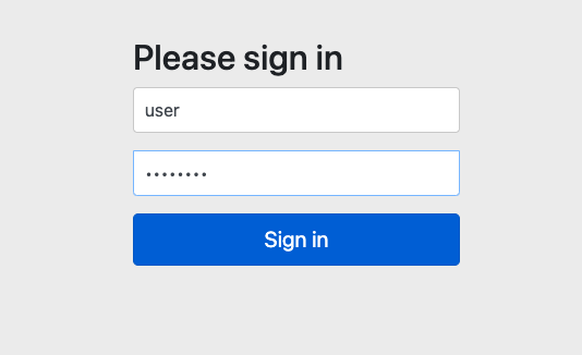 spring security login page
