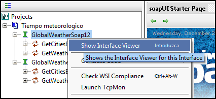 soapUI Interface viewer