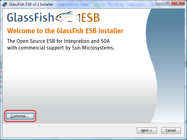 Instalador de Glassfish ESB